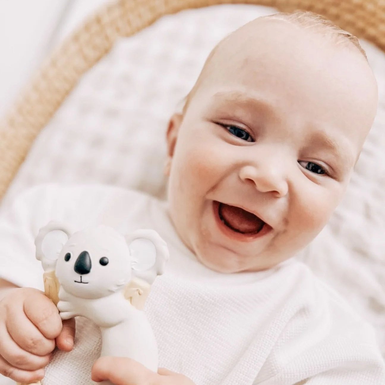 Banks the Koala Teether - Spotty Dot AU
