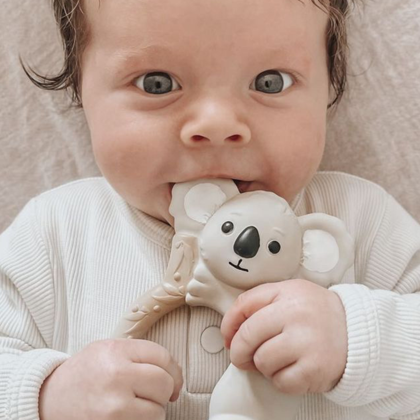 Banks the Koala Teether - Spotty Dot AU