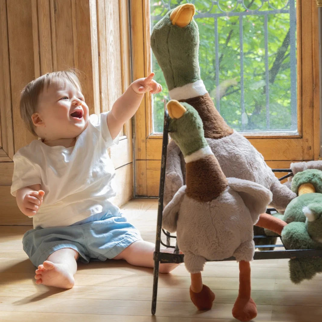 Big & Standard Size Hugo the Duck Spotty Dot toys