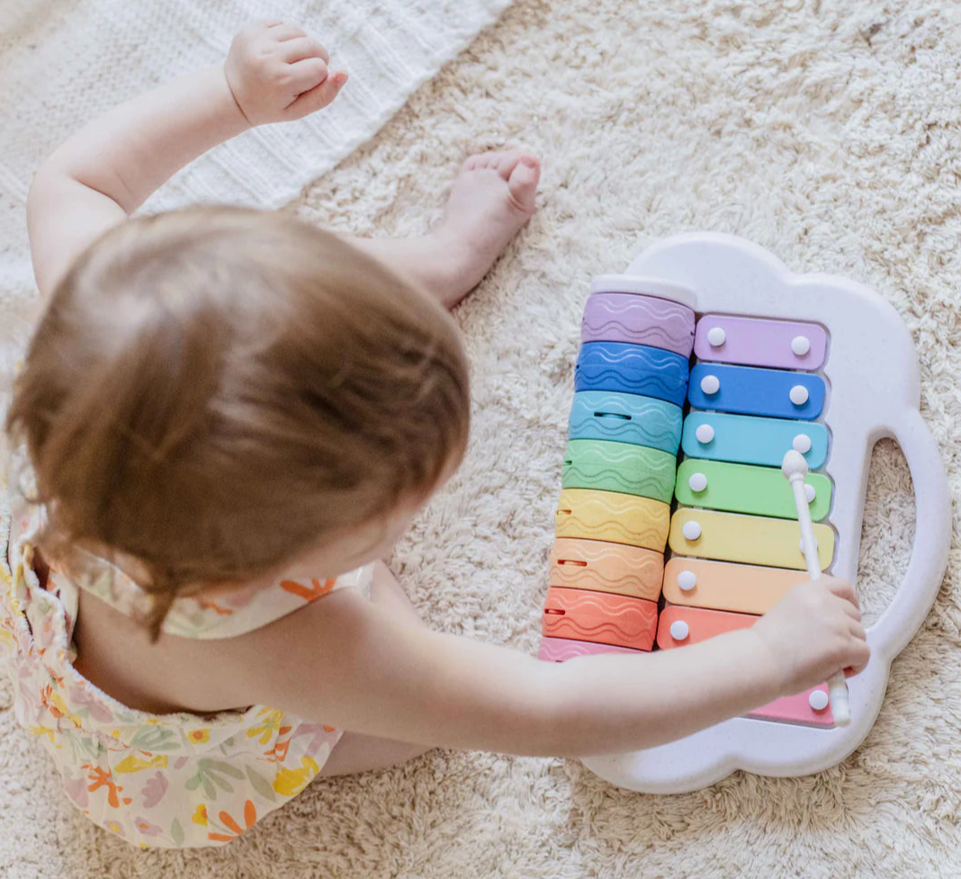 Eco Rainbow Roller Musical Xylophone Toy Spotty Dot Kids