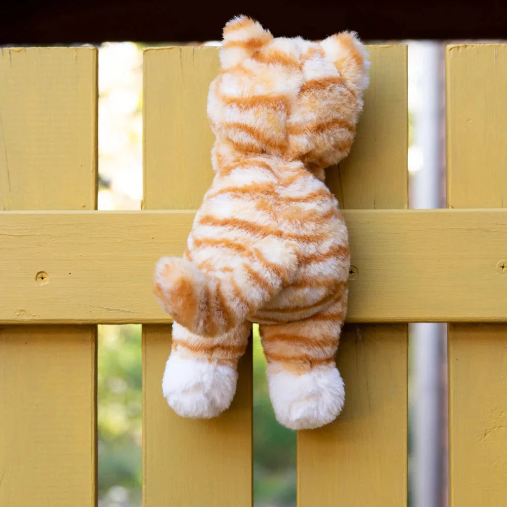 Ginger the Kitten Spotty Dot Toys & Gifts