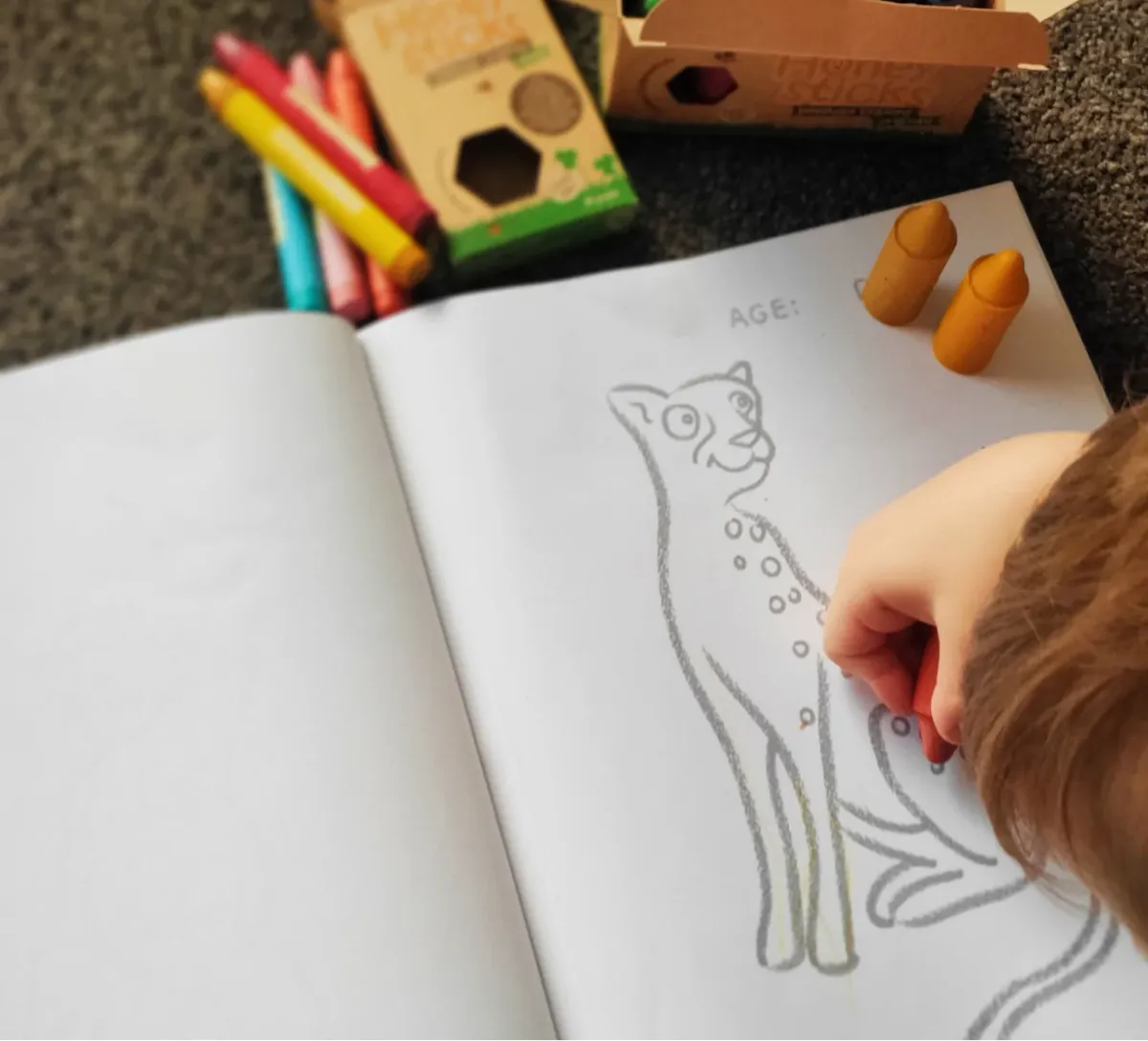 Honeysticks Colouring Book Endangered Animals Spotty Dot Shop
