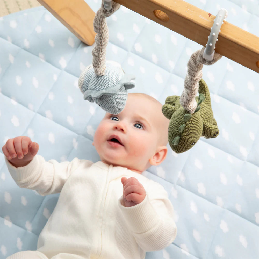 Knitted Baby Stroller Toys Cockatoo Koala Spotty Dot Toys