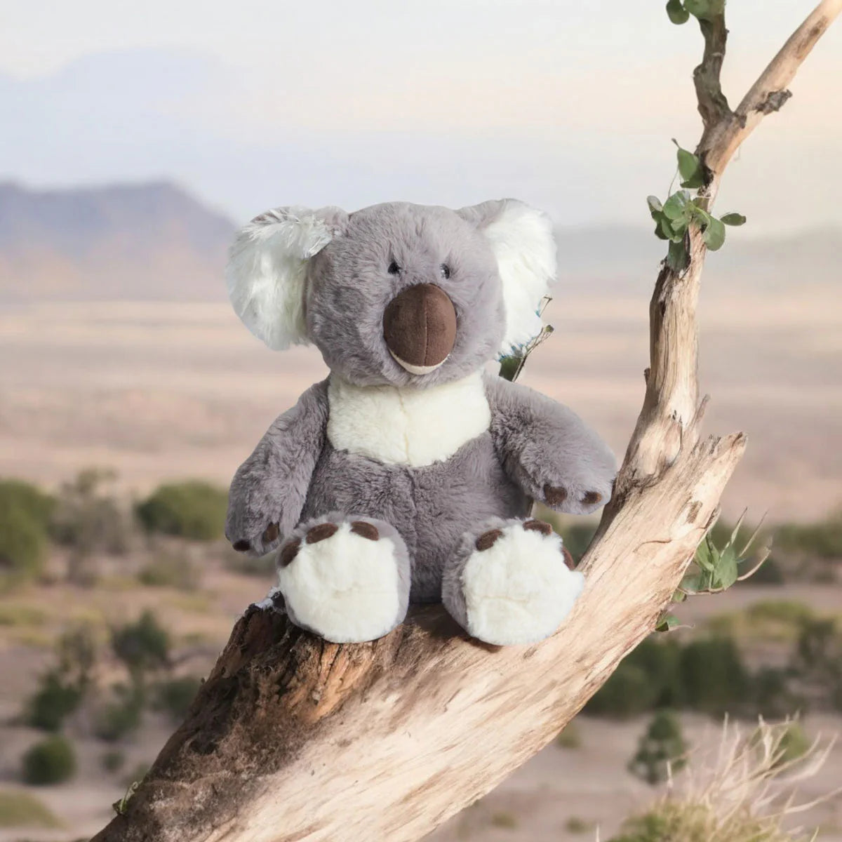 Koala Plush Toy Spotty Dot Toys