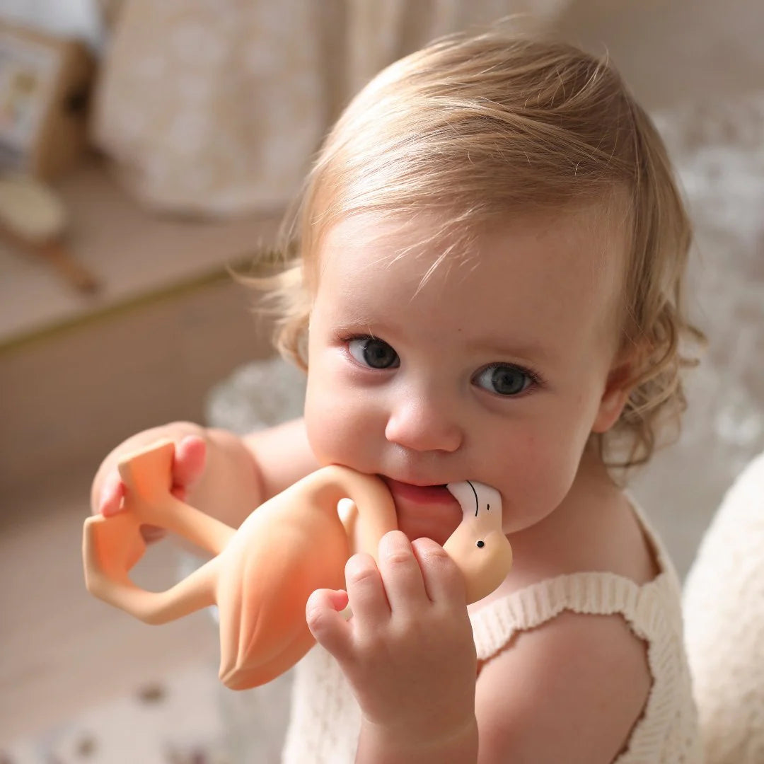 Lingo the Flamingo Baby Teether Spotty Dot Child