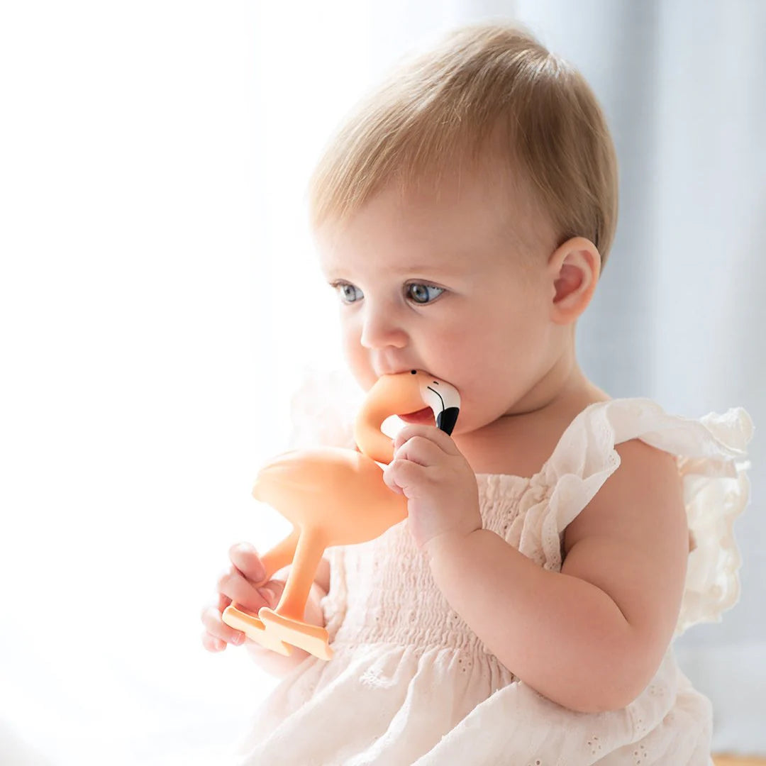 Lingo the Flamingo Baby Teether Spotty Dot Child