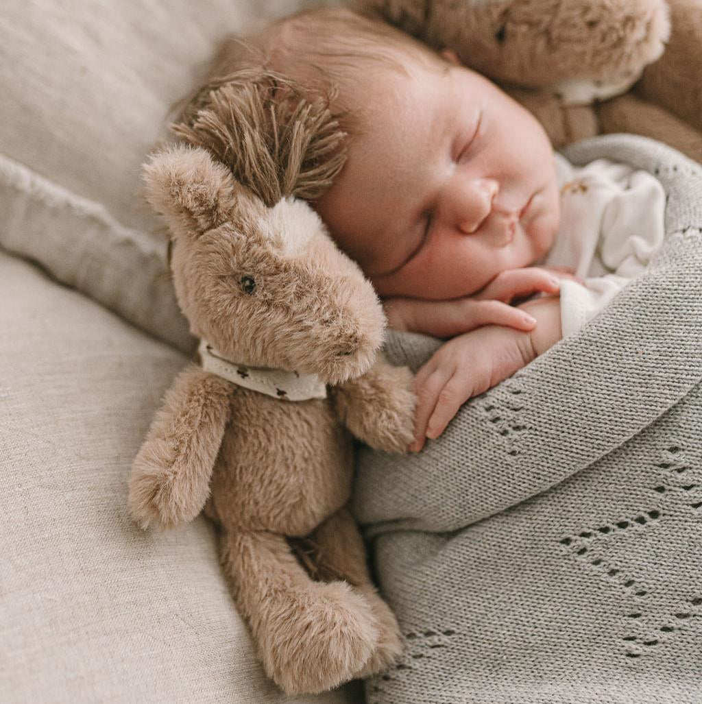 Harvey the Horse Baby Rattle Spotty Dot Toys