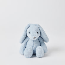 Load image into Gallery viewer, Plush Bunny Small - Spotty Dot Toys
