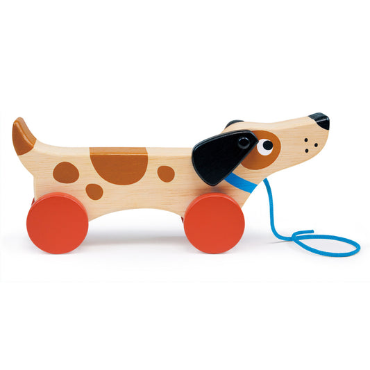 Puppy on Wheels Pull Along Spotty Dot Toys