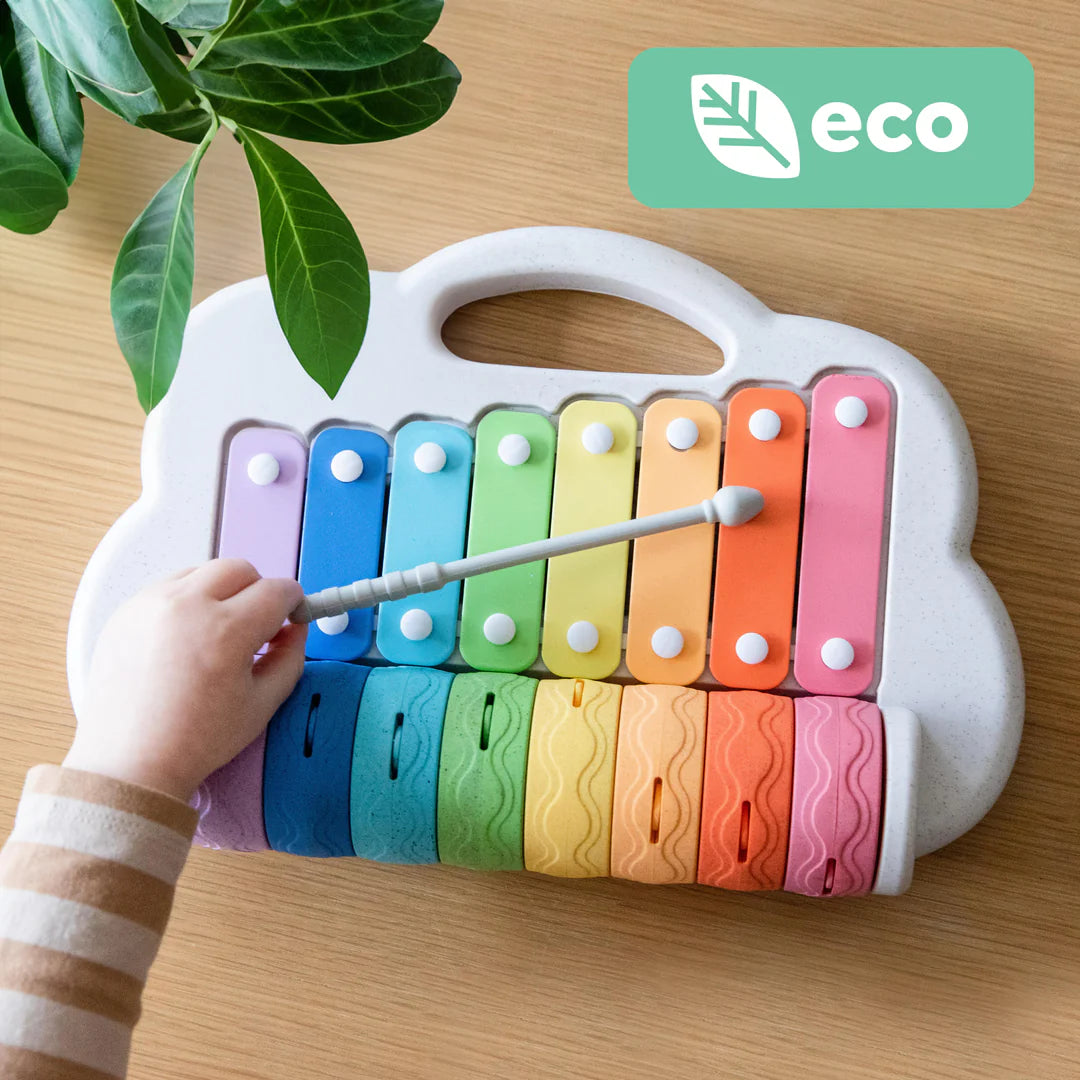 Eco Rainbow Roller Musical Xylophone Toy Spotty Dot Kids