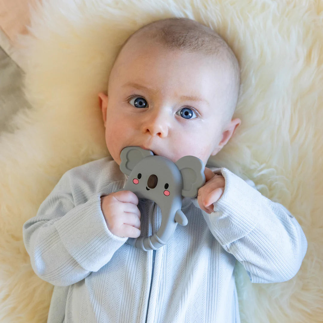 Silicone Koala Teether Spotty Dot Baby