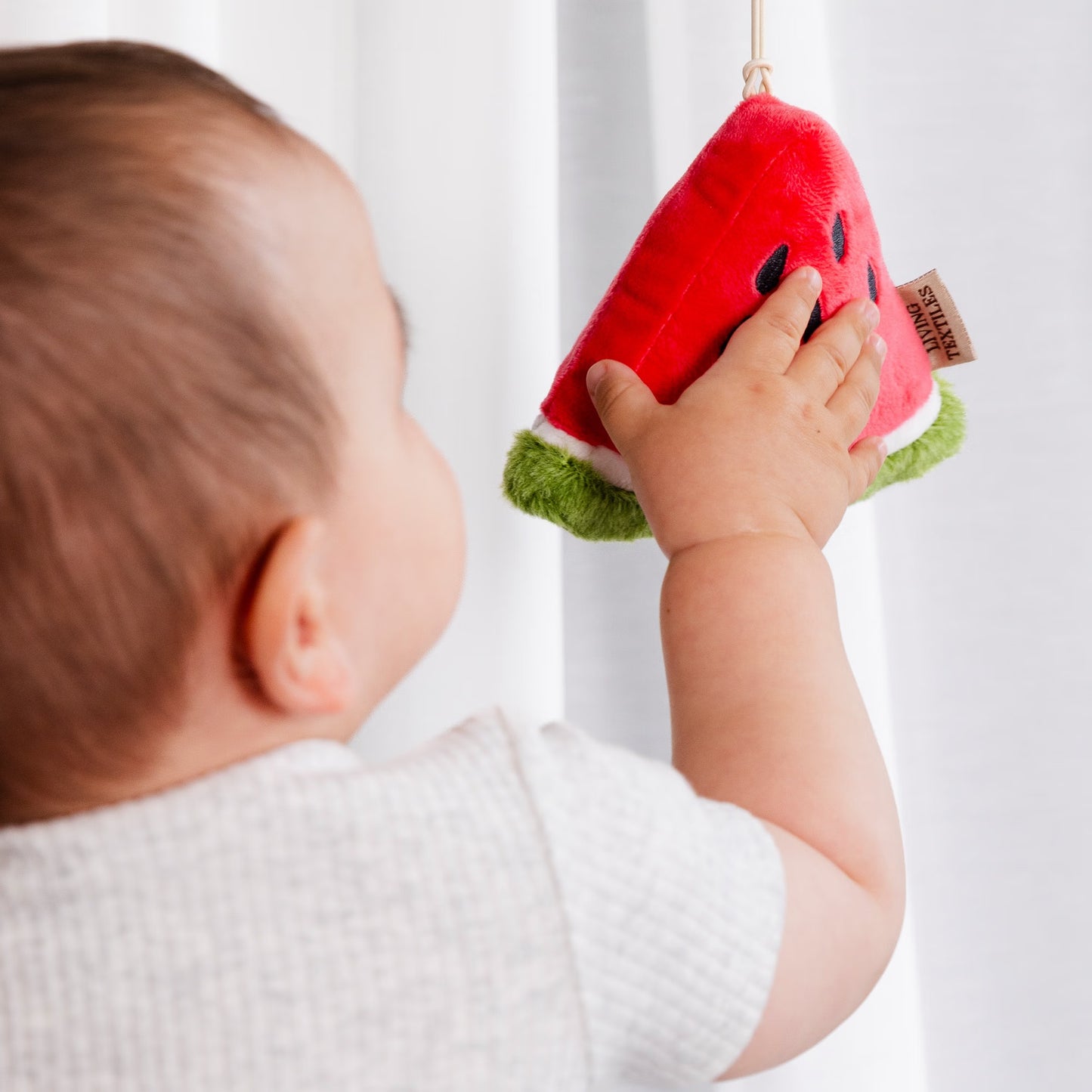 Watermelon Stroller Toy Spotty Dot Toys