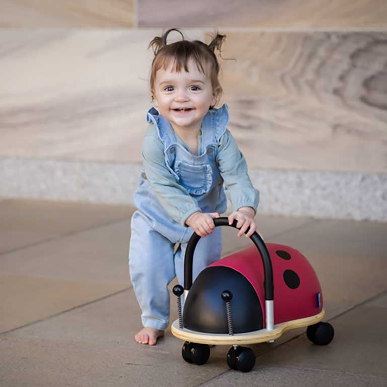 Wheely Bug Small Lady Bug Spotty Dot Toys