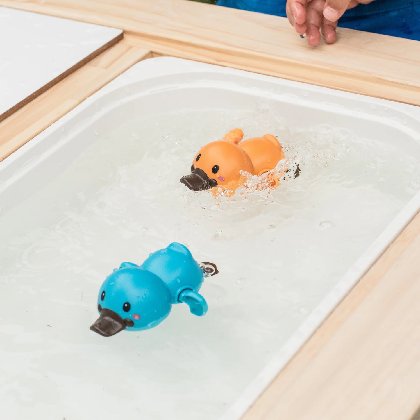 Wind Up Bath Platypus Racers Spotty Dot Toys
