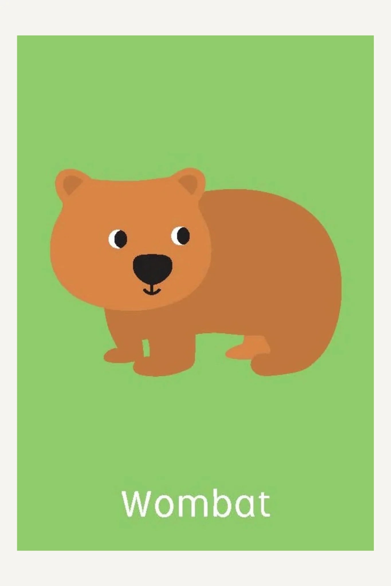 Australian Animals Snap Cards - 3+
