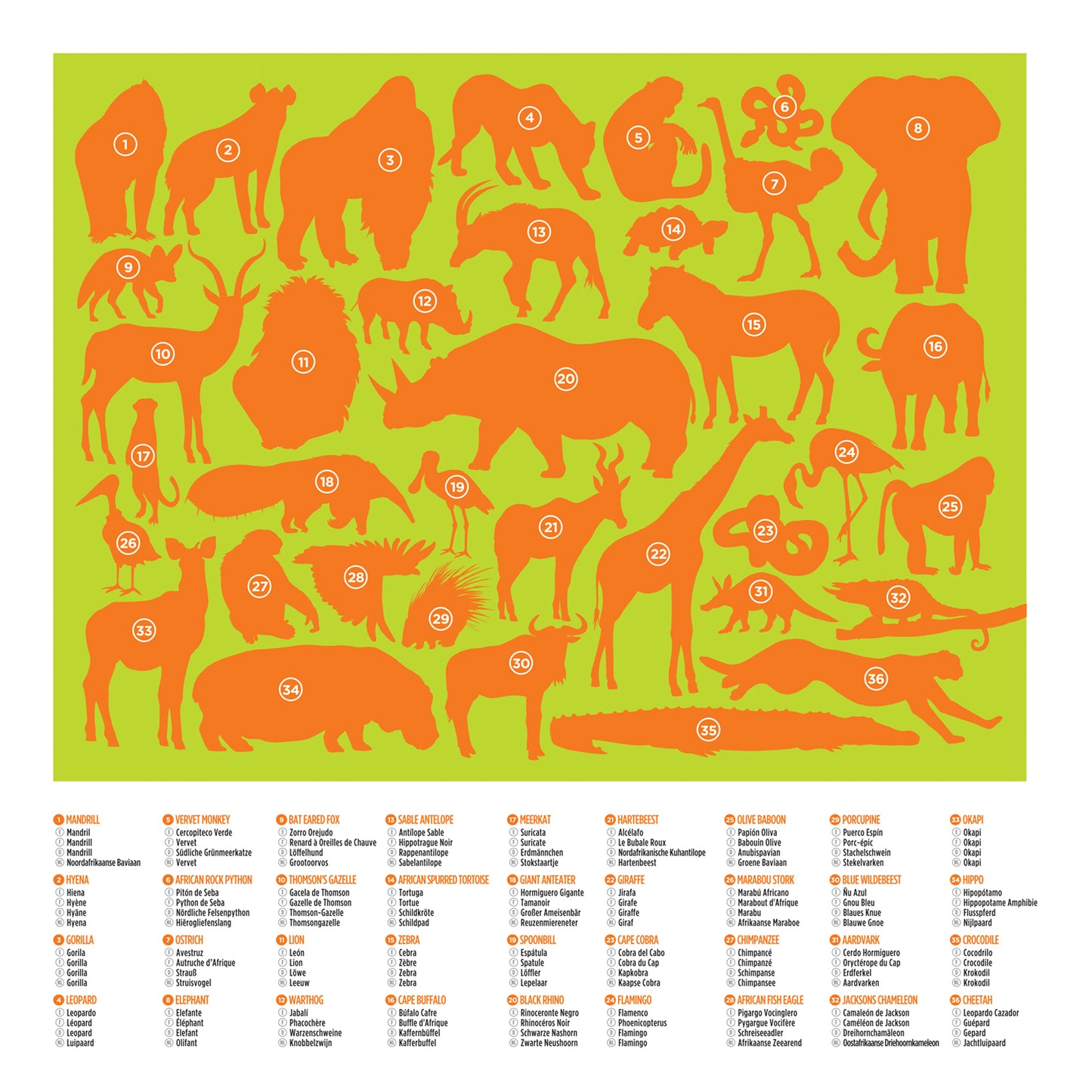 36 Wild Animals Puzzle - 100 pieces by Crocodile Creek
