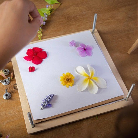 My Botanical Flower Press - Spotty Dot AU