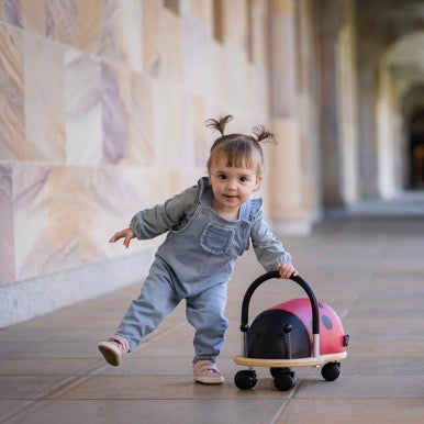 Wheely Bug Lady Bug Small Spotty Dot