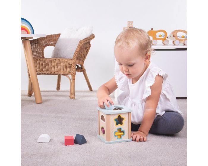Wooden Eco Shape Sorter Spotty Dot Toys