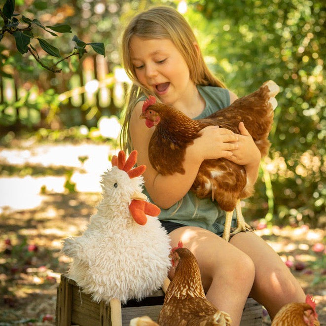 Roy the Rooster - Spotty Dot Toys & Gifts AU