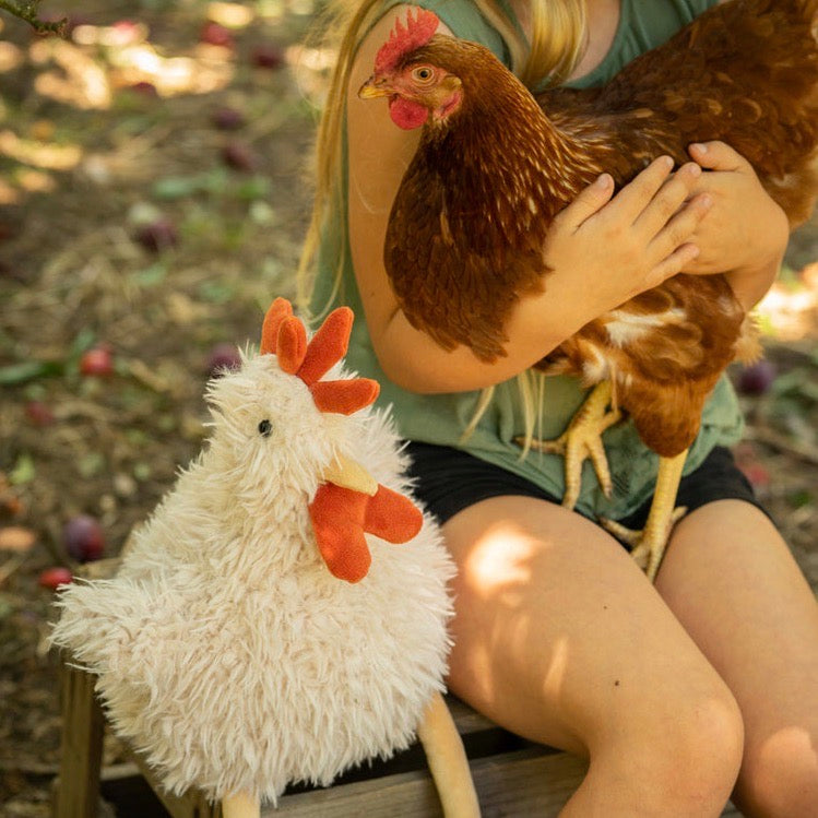 Roy the Rooster - Spotty Dot Toys & Gifts AU