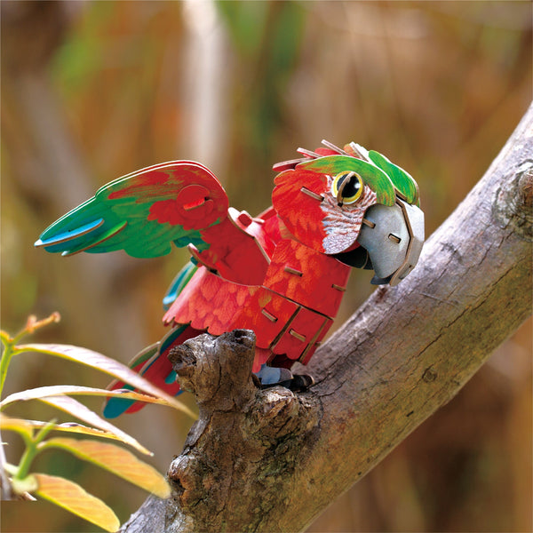 3D Puzzle Macaw - Spotty Dot Toys