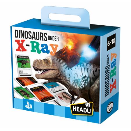 Dinosaurs Under X-Ray - Spotty Dot Toys