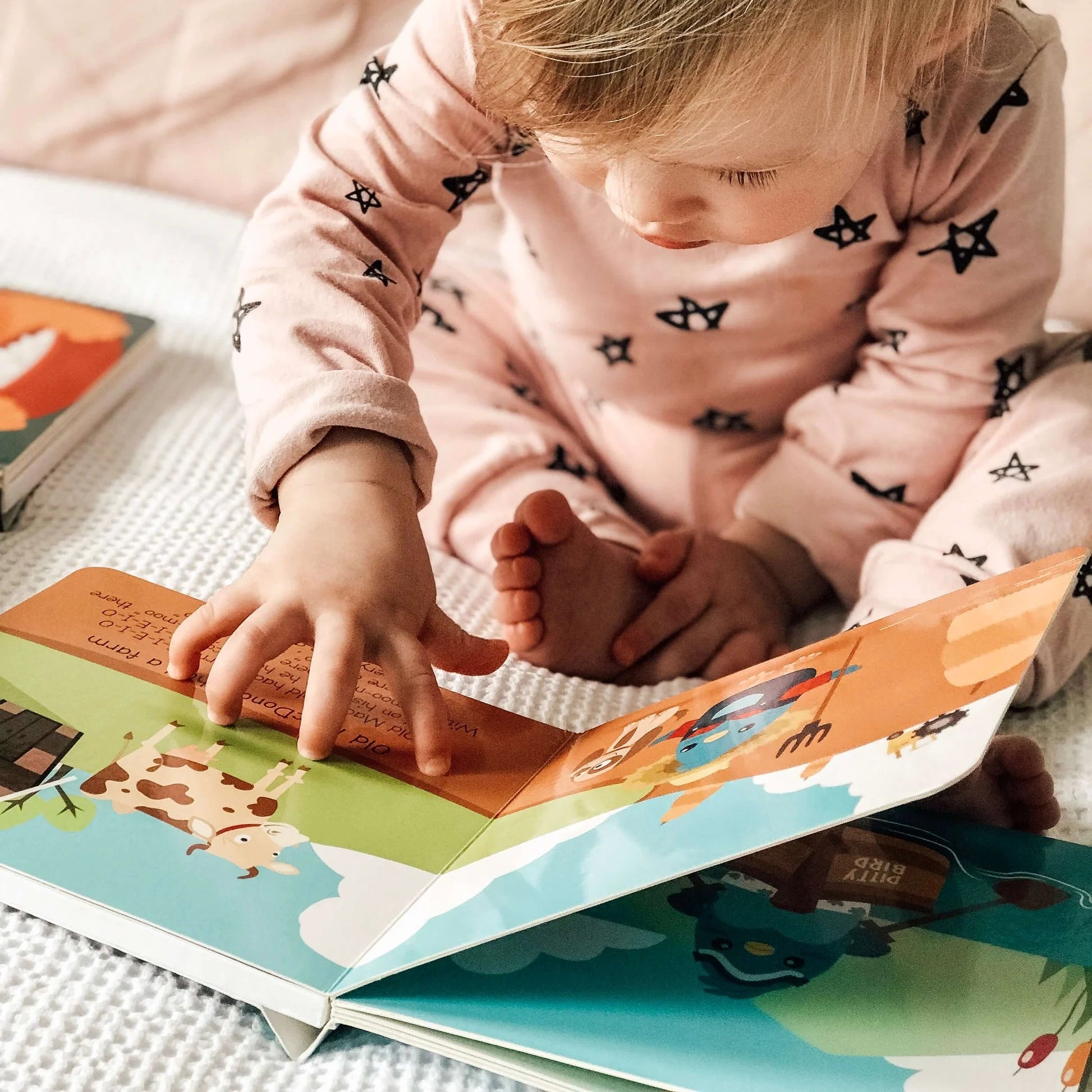 Ditty Bird Books Spotty Dot Toys