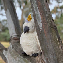 Load image into Gallery viewer, Cockatoo - Spotty Dot 
