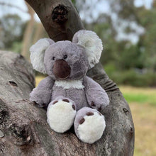 Load image into Gallery viewer, Koala - Spotty Dot AU
