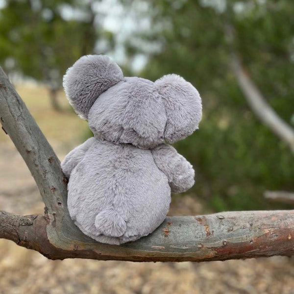 Koala - Spotty Dot AU