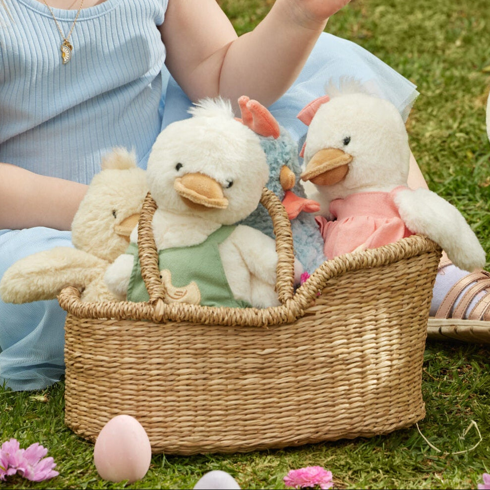 Frankie, Flossy, Pebbles Ducks Spotty Dot Toys