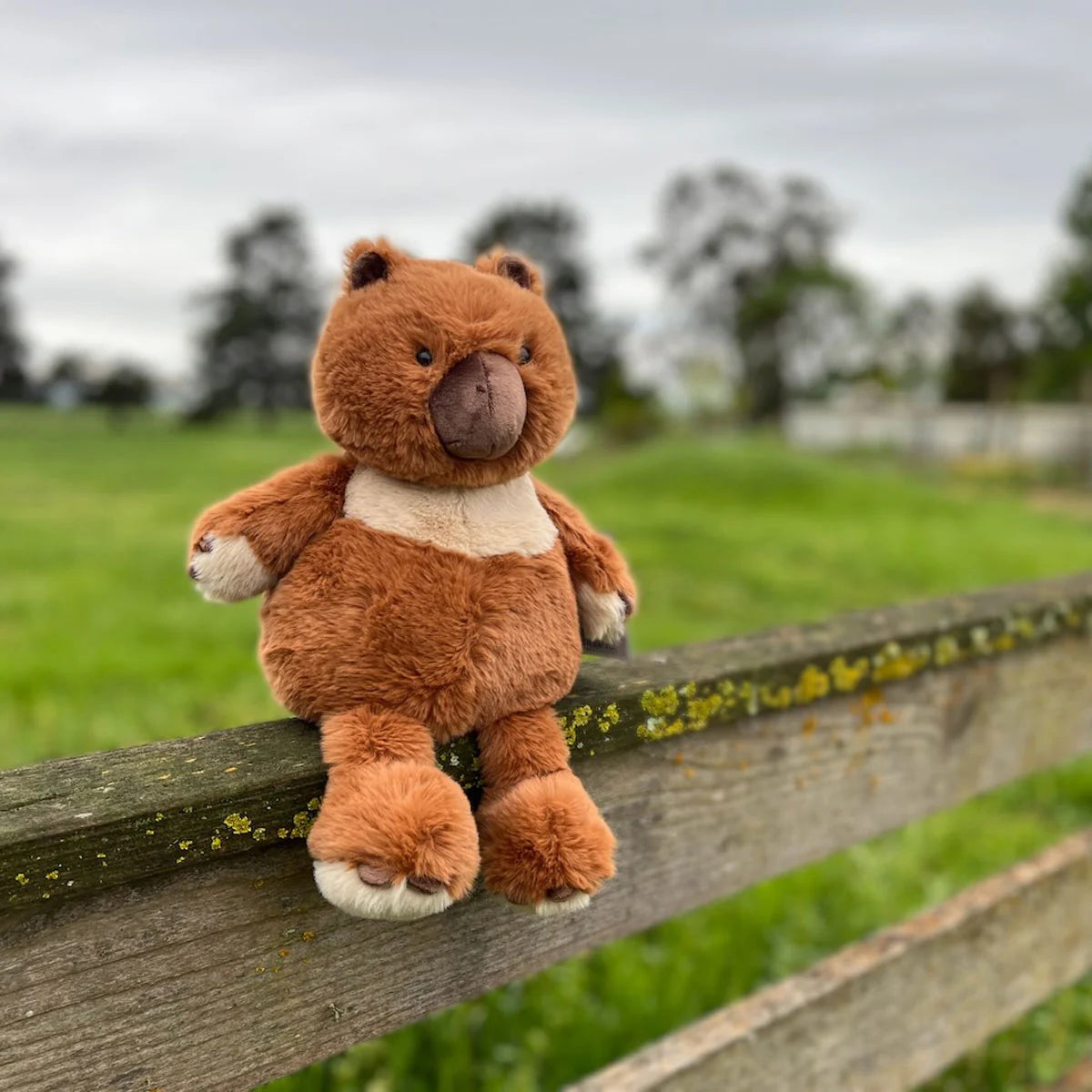 Furfolk Wombat Spotty Dot Toys