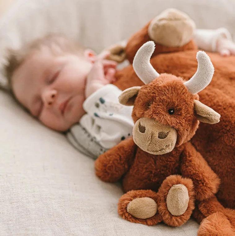 Henry the highland cow rattle Spotty Dot Toys