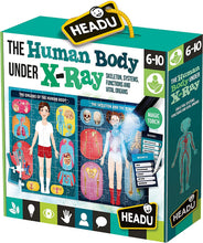 Load image into Gallery viewer, Human Body under X-Ray - Spotty Dot Toys
