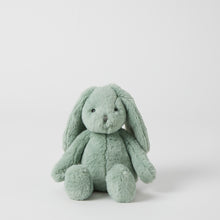 Load image into Gallery viewer, Sage Bunny - Spotty Dot
