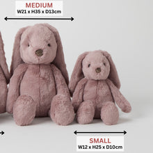 Load image into Gallery viewer, Medium &amp; Small Plush Bunny - Spotty Dot

