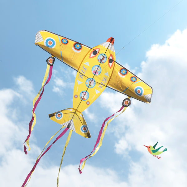 Plane Kite - Spotty Dot Toys