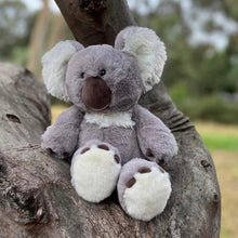 Load image into Gallery viewer, Koala - Spotty Dot AU
