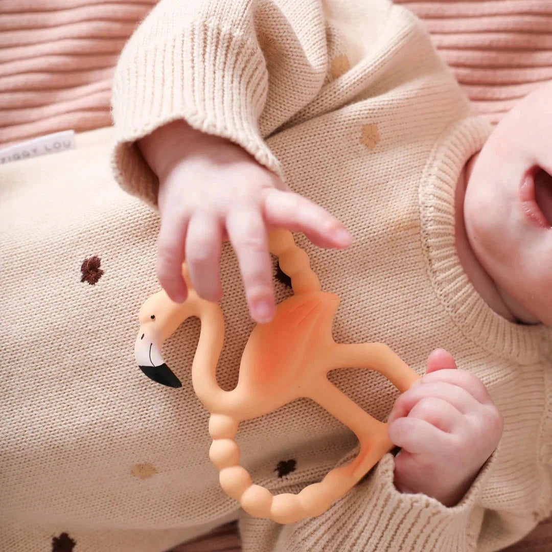 Lingo the Flamingo Baby Teether Spotty Dot Baby