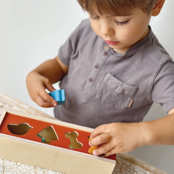 Pet Shape Sorting Box - Spotty Dot Toys