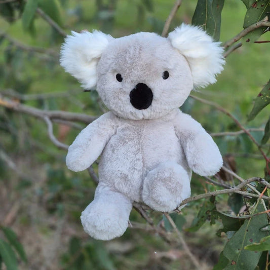 Sidney the Koala due Feb