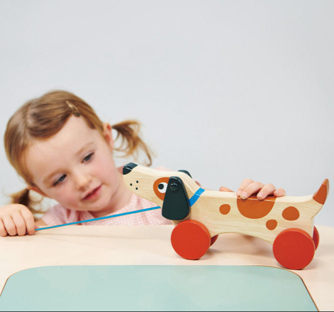 Puppy on Wheels Pull Along Spotty Dot Toys