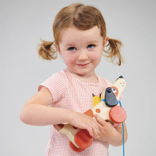 Puppy on Wheels Pull Along Spotty Dot Toys