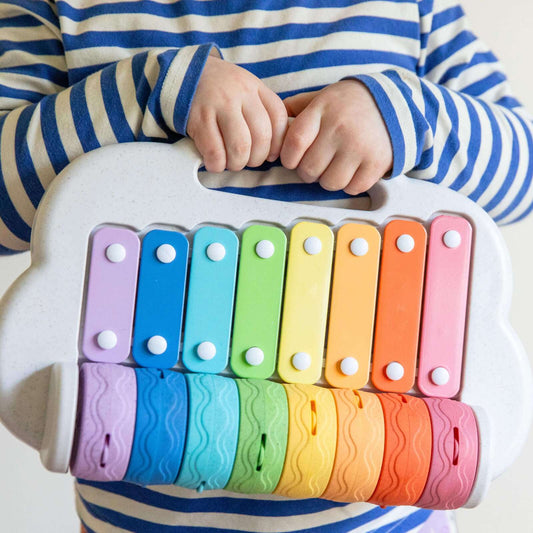 Rainbow Roller Xylophone - Spotty Dot Toys