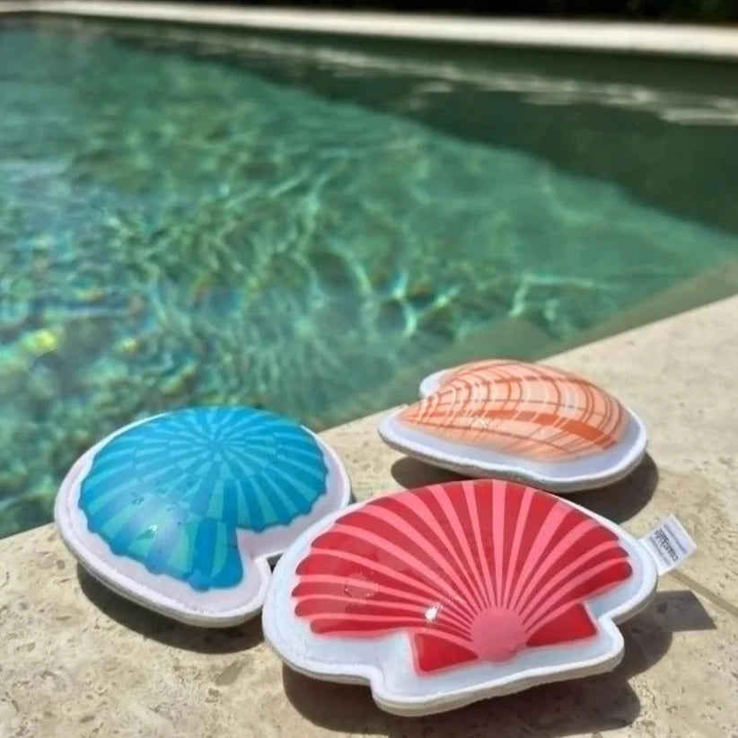 Sinking Shells Kids Dive Toys by Coast Kids – Spotty Dot