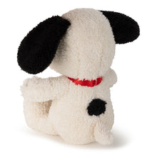 Load image into Gallery viewer, Snoopy Terry 17cm - Spotty Dot Toys
