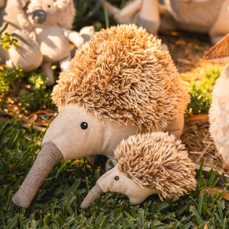 Spike the Echidna Toy Spotty Dot Gifts 