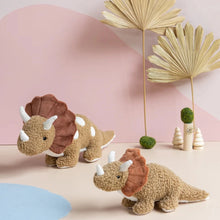 Load image into Gallery viewer, Thomas Triceratops &amp; Baby - Spotty Dot Toys
