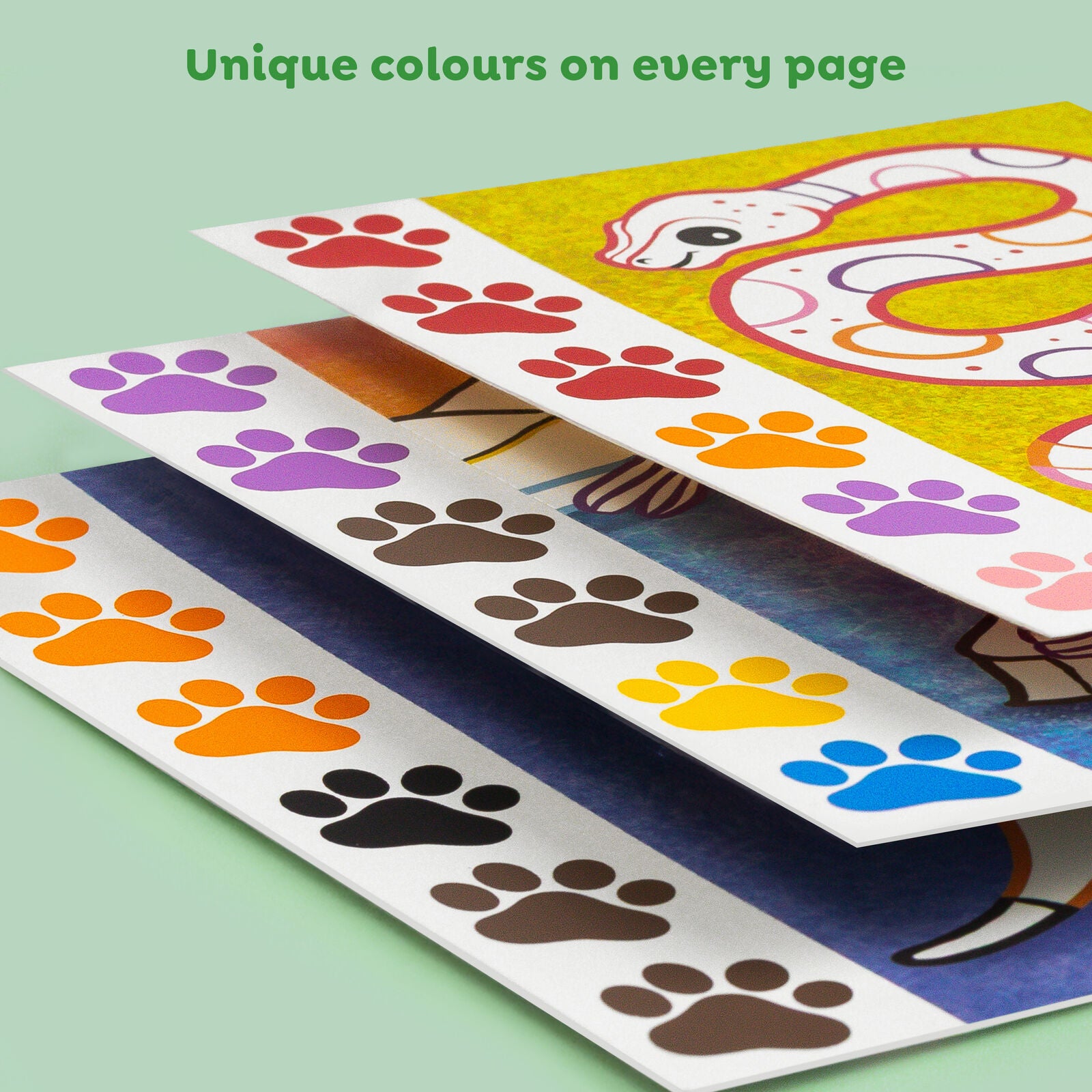 Wild Animals Paint a Picture Set Spotty Dot Toys